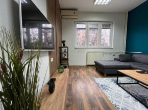 Mickitos Central Apartment
